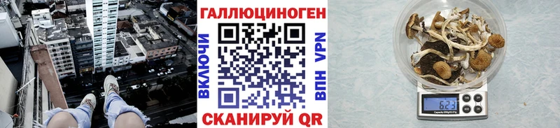 Псилоцибиновые грибы GOLDEN TEACHER Петрозаводск
